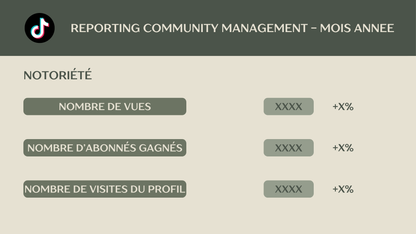 Template - Reporting Mensuel Community Manager – Instagram, Facebook, TikTok, LinkedIn